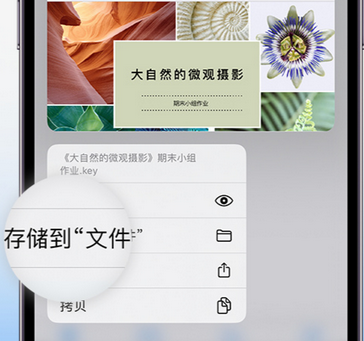 龙南apple维修中心分享iPhone文件应用中存储和找到下载文件