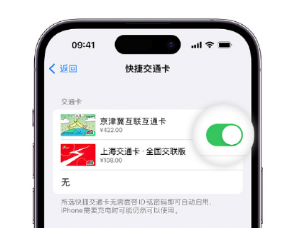 龙南apple维修点分享iPhone上更换Apple Pay快捷交通卡手绘卡面 