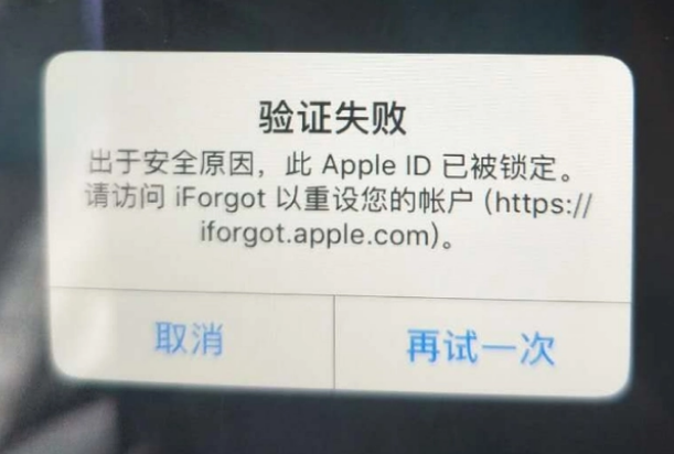 龙南iPhone维修分享iPhone上正常登录或使用AppleID怎么办 