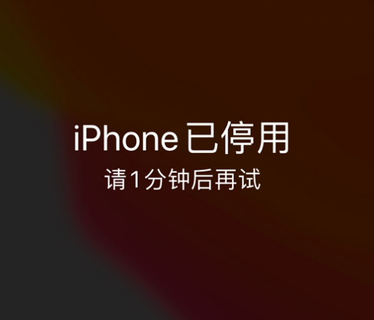 龙南苹果手机维修分享:iPhone 显示“不可用”或“已停用”怎么办？还能保留数据吗？ 