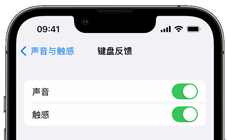 龙南苹果手机维修分享iPhone 14触感键盘使用方法 