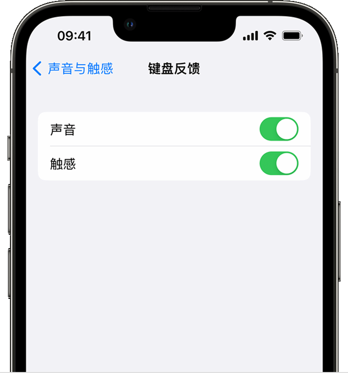 龙南苹果14维修店分享如何在 iPhone 14 机型中使用触感键盘 