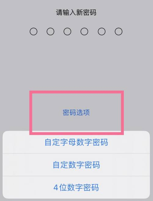 龙南苹果14维修分享iPhone 14plus设置密码的方法 