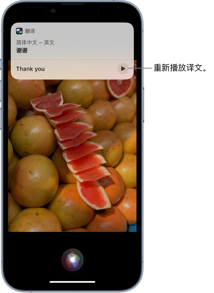 龙南苹果14维修分享 iPhone 14 机型中使用 Siri：了解 Siri 能帮你做什么 