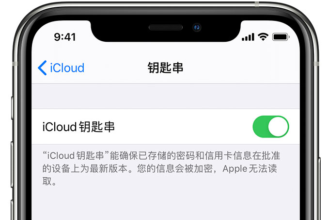 龙南苹果手机维修分享在 iPhone 上开启 iCloud 钥匙串之后会储存哪些信息 