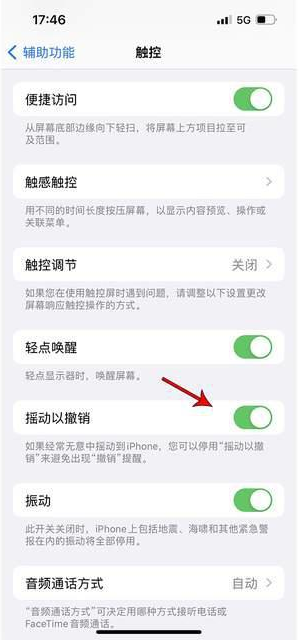 龙南苹果手机维修分享iPhone手机如何设置摇一摇删除文字 