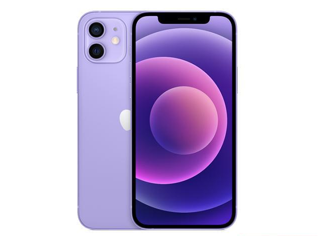 龙南苹果手机维修分享现阶段要不要入手紫色版iPhone12 
